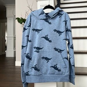 Boys dinosaur print hoodie!